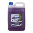 Geca Deo Disinfect Rnforest 5L Purple