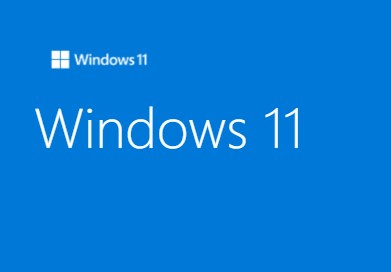 WINDOWS 11 PRO FPP 64-bit English USB